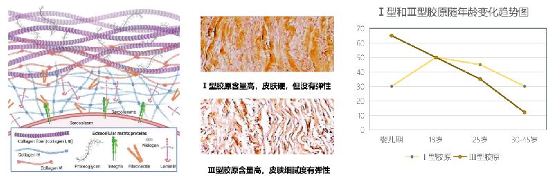 1780368008839373.png 图片5.png